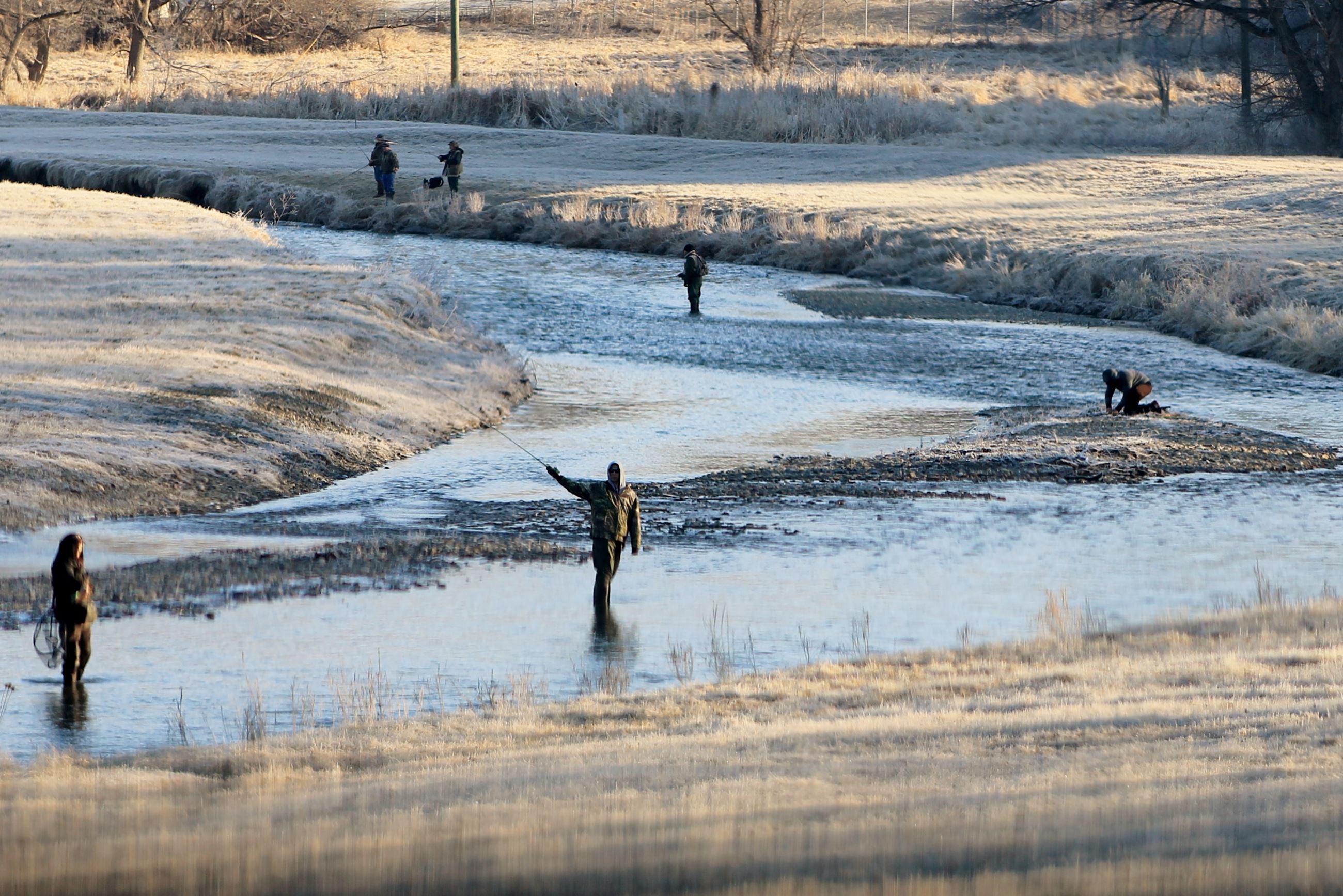 Taken by Karen Stegner